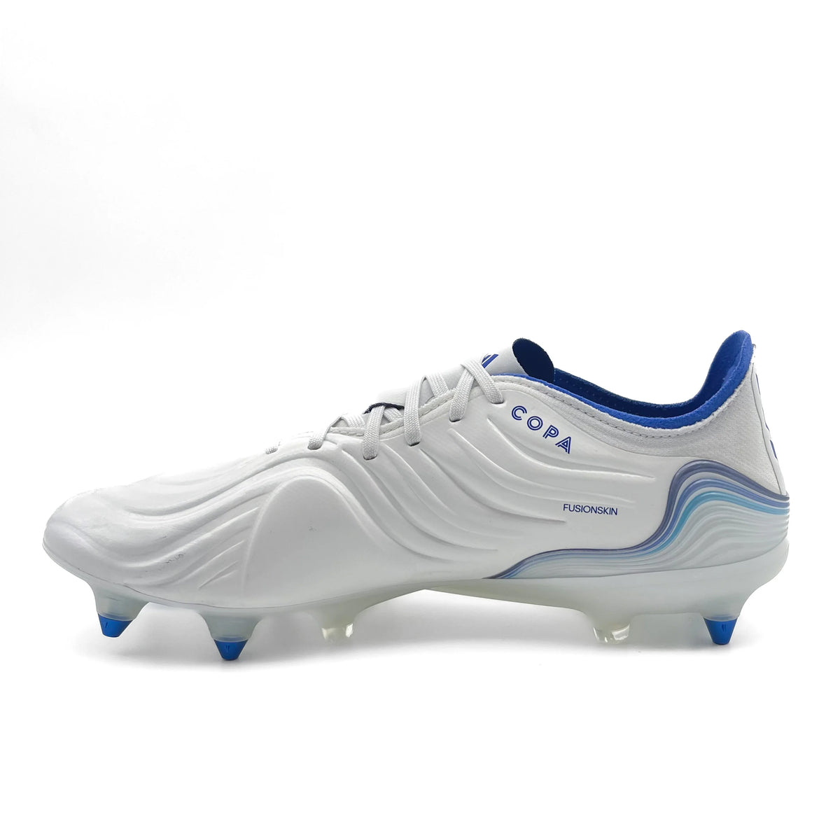 Copa sg 2024